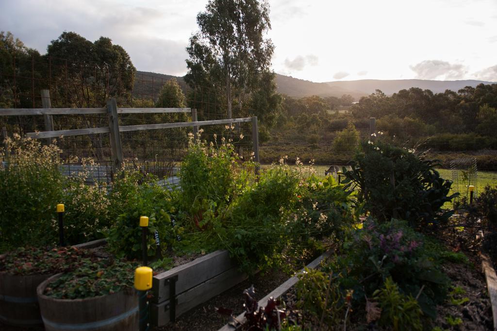 Boroka Downs Villa Halls Gap Buitenkant foto