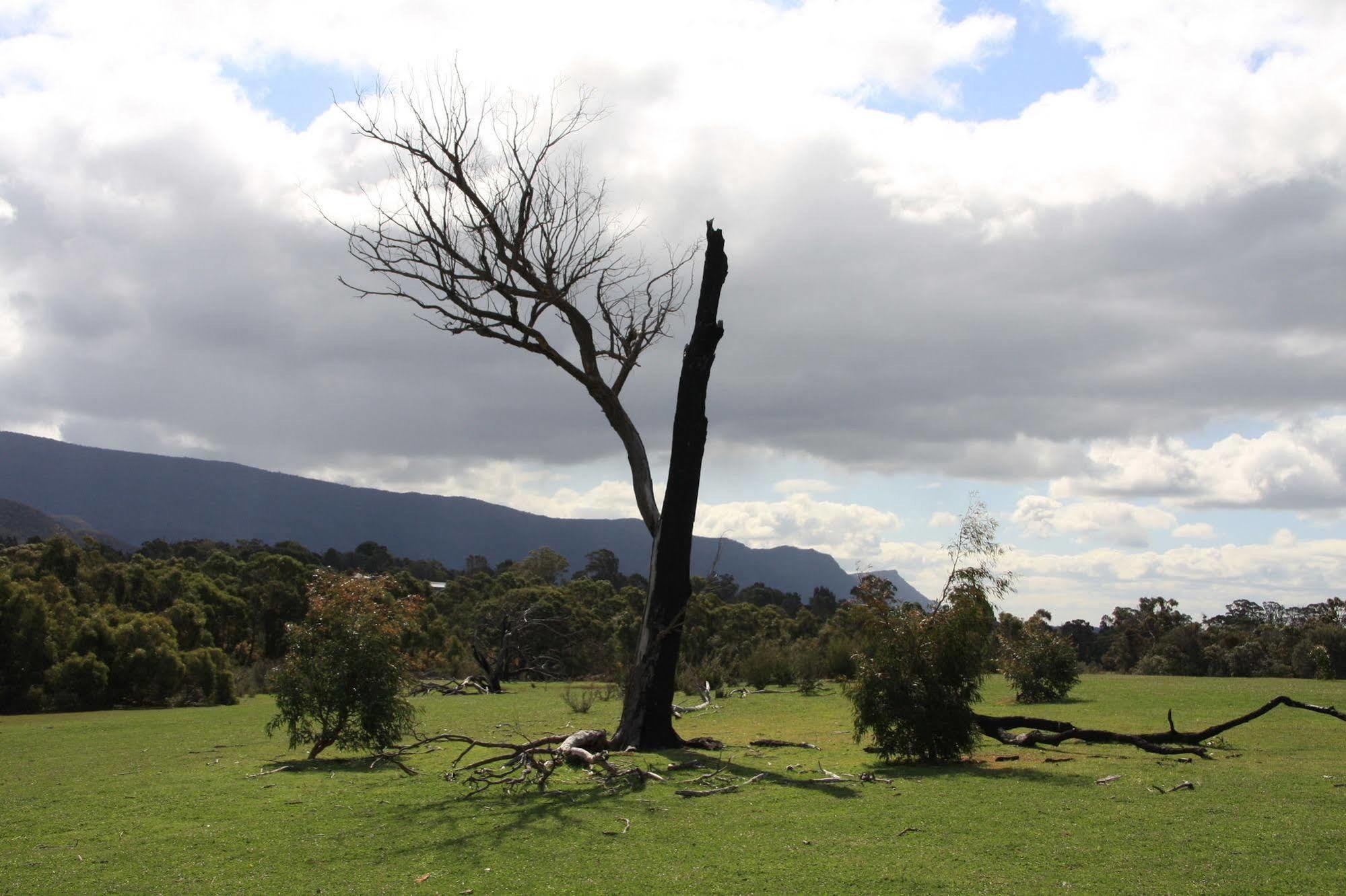 Boroka Downs Villa Halls Gap Buitenkant foto