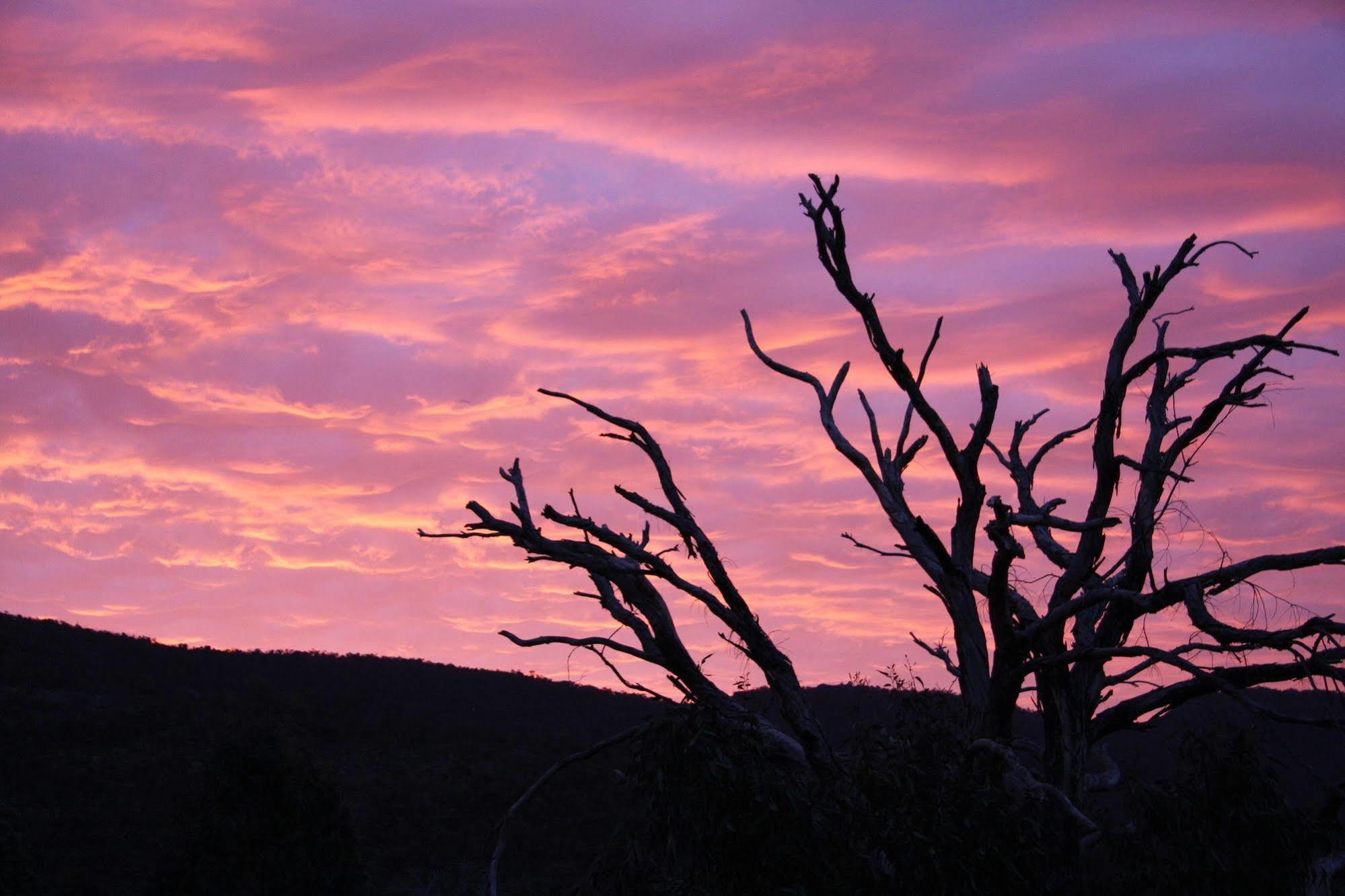 Boroka Downs Villa Halls Gap Buitenkant foto