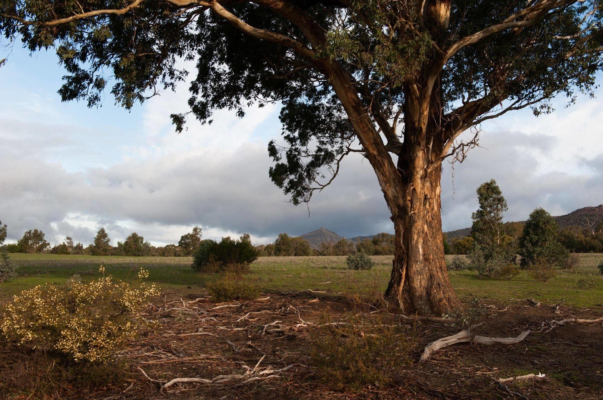Boroka Downs Villa Halls Gap Buitenkant foto